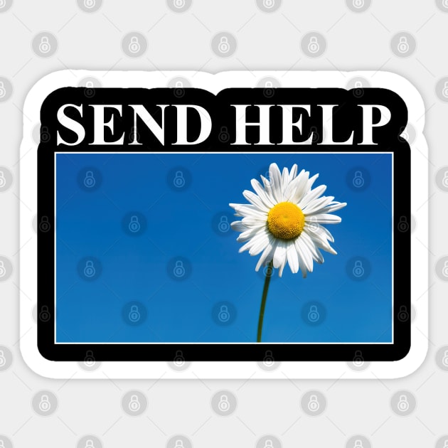 Vintage Send Help Daisy Flower Aesthetic Vintage Streetwear Retro Sticker by dewinpal